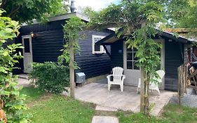 Chalet Wild Forest, knus chalet op de Veluwe met gratis parkeren